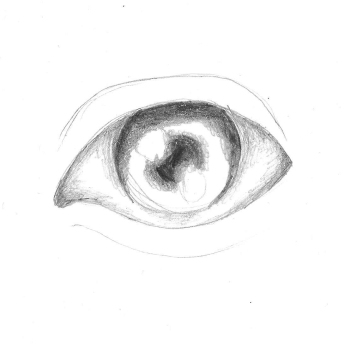 eye6